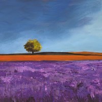 Field of Lavender (Detail) Framed Print