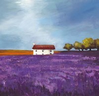 Field of Lavender I Framed Print
