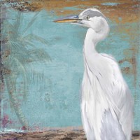 Tropic Heron II Framed Print