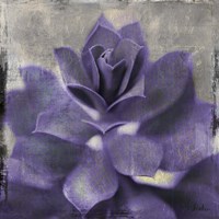 Lavender Succulent I Framed Print