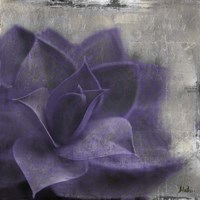 Lavender Succulent II Framed Print