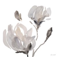 Gray Tonal Magnolias I Framed Print