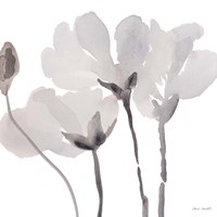 Gray Tonal Magnolias II Framed Print