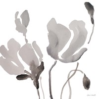 Gray Tonal Magnolias III Framed Print