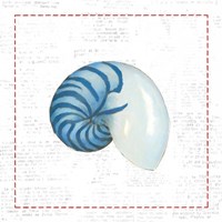 Navy Nautilus Shell on Newsprint with Red Framed Print