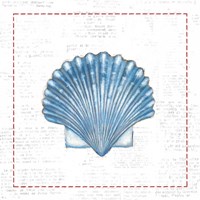 Navy Scallop Shell on Newsprint with Red Framed Print