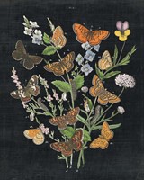 Butterfly Bouquet on Black I Framed Print