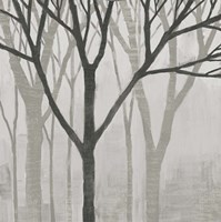 Spring Trees Greystone II Framed Print