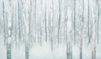 Birches in Winter Blue Gray Framed Print