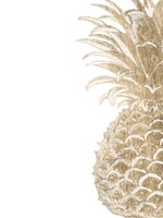 Pineapple Life IV Framed Print