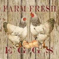 Farm Fresh Eggs II Framed Print