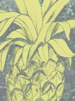 Kona Pineapple I Framed Print