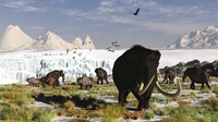 Woolly Mammoths and Woolly Rhinos in a Prehistoric Landscape Framed Print