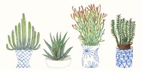 Four Succulents I Framed Print