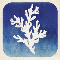 Watermark Coral Framed Print