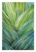 Tropical Crop IV Framed Print