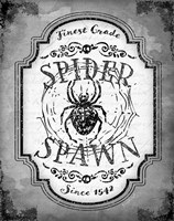 Spider Spawn Framed Print