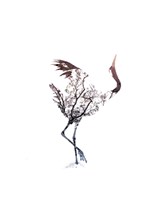 Red Crowned Crane Pair, Part I Inverted Framed Print