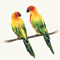 Tropical Fun Bird III Framed Print