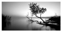 Great Lake Fine Art Print