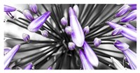 Purple Flower Fine Art Print