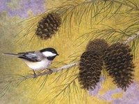Chickadee in the Pines I Framed Print