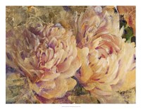 Floral in Bloom III Framed Print