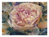 Floral in Bloom IV Framed Print