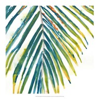 Palm Wonderful I Framed Print