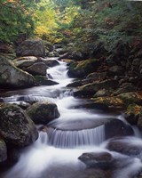 Gordon Water Falls, Appalachia, White Mountains, New Hampshire Framed Print