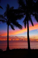 Sunset and palm trees, Coral Coast, Viti Levu, Fiji Framed Print