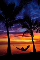 Woman in hammock, and palm trees at sunset, Coral Coast, Viti Levu, Fiji Framed Print