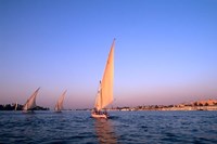 Beautiful Sailboats Riding Along the Nile River, Cairo, Egypt Framed Print