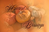 Harvest Blessings I Framed Print