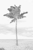 Swaying Palm I Framed Print