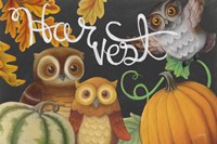 Harvest Owl IV Framed Print