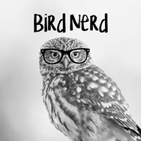Bird Nerd - Owl Framed Print