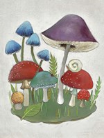 Mushroom Collection II Framed Print
