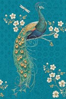 Ornate Peacock IXE Framed Print