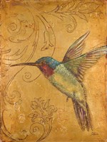 Golden Hummingbird II Framed Print
