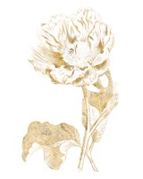Gilded Botanical VII Framed Print