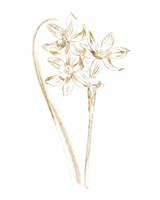 Gilded Botanical IV Framed Print