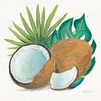 Coconut Palm V Framed Print