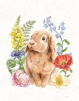 Sunny Bunny I FB Framed Print