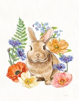 Sunny Bunny II FB Framed Print