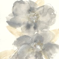 Floral Gray II Framed Print