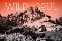 Ombre Adventure II Wild Soul Framed Print