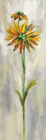Single Stem Flower III Framed Print