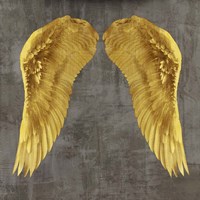 Angel Wings I Framed Print