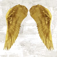 Angel Wings IV Framed Print